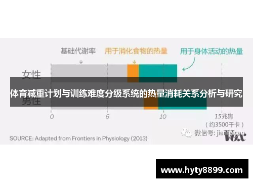 体育减重计划与训练难度分级系统的热量消耗关系分析与研究