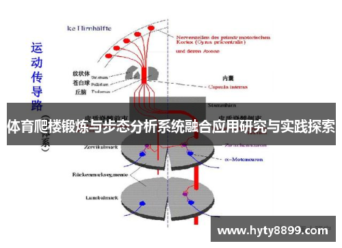 体育爬楼锻炼与步态分析系统融合应用研究与实践探索
